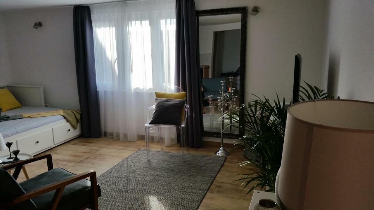Studio Apartman Providence シベニク エクステリア 写真